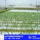 农膜封边机-广宁农膜-中联塑业(查看)