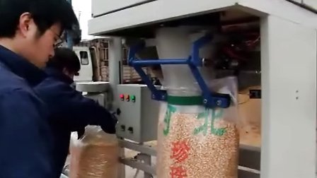 瓜子打包秤 食品定量打包秤河南利民包装机械设备