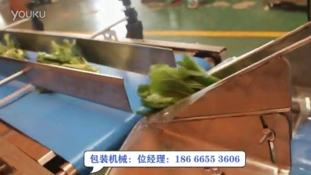 蔬菜包装机 果蔬包装机械 打包机_201610221127