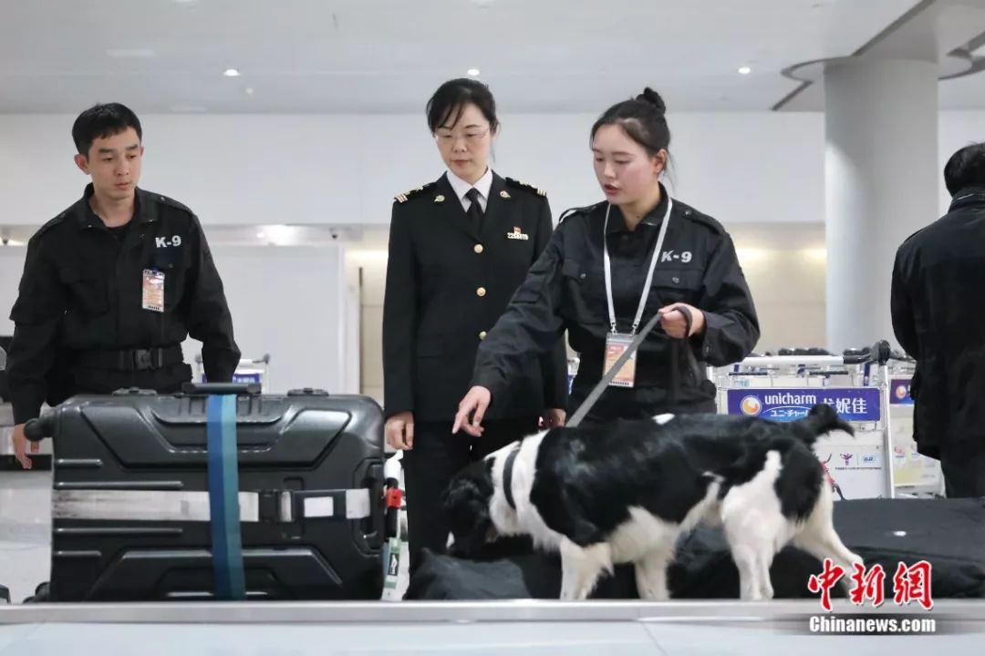 海南包装协会_中国包装协会_天津市包装技术协会