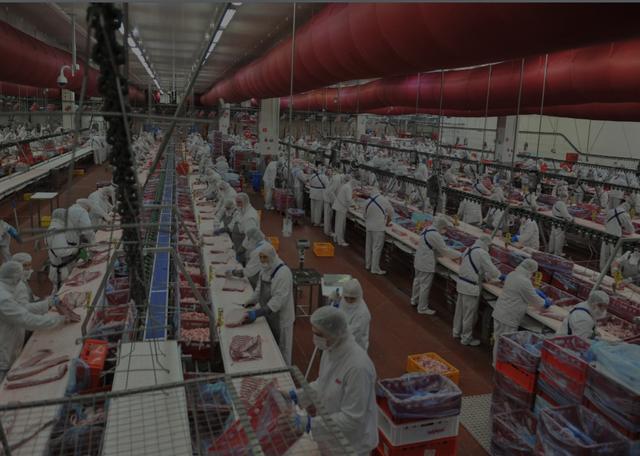 包装行业产业链_我国电力产业价格链设计理论及方法_区块链枝术与公链产业