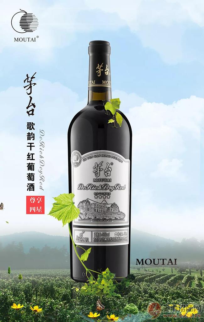 第二届宋河粮液白酒包装设计大赛_宋河粮液国字6号价格_宋河粮液白酒价格表