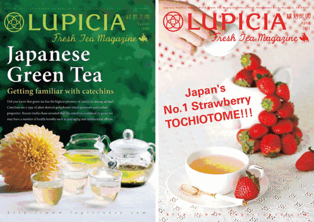 日本创意茶具设计_茶具设计大赛_日本茶具包装设计