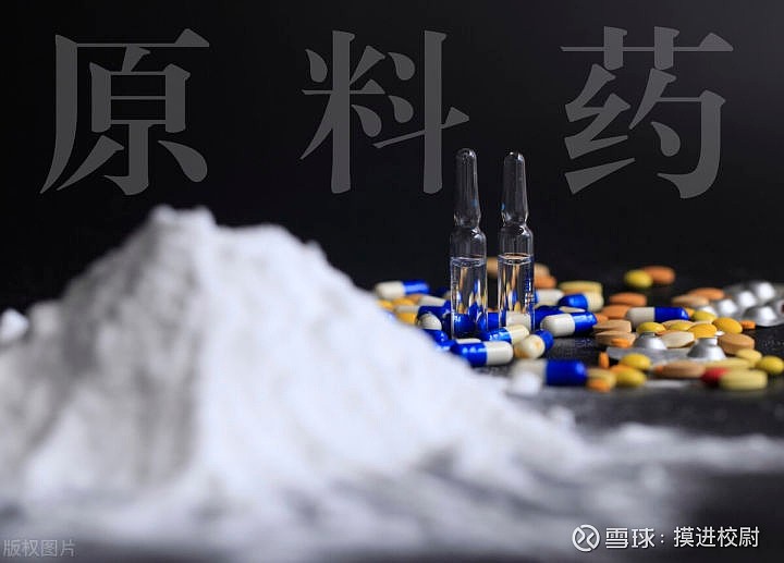 企业名称预先核准通知书 行业及行业代码_医药股龙头_医药包装行业龙头企业