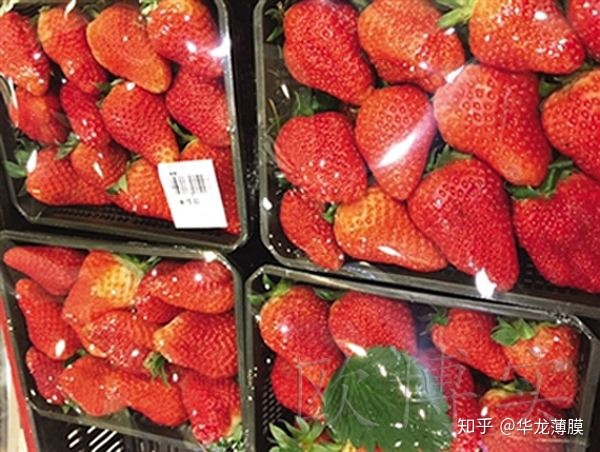 蔬菜保鲜冷库安装规范_日本蔬菜保鲜技术_蔬菜保鲜包装技术