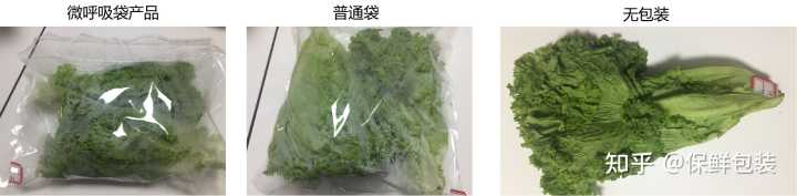 蔬菜贮运保鲜技术_蔬菜保鲜包装技术_蔬菜保鲜包装