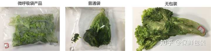 蔬菜贮运保鲜技术_蔬菜保鲜包装_蔬菜保鲜包装技术
