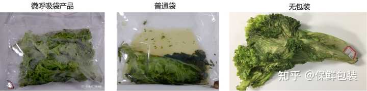 蔬菜保鲜包装技术_蔬菜保鲜包装_蔬菜贮运保鲜技术
